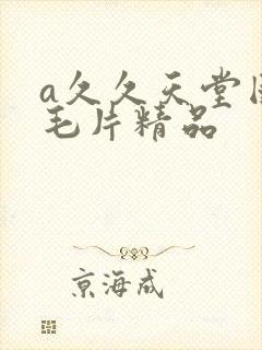 a久久天堂国产毛片精品