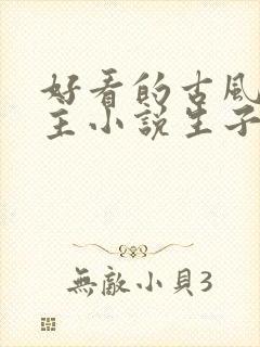 好看的古风双男主小说生子