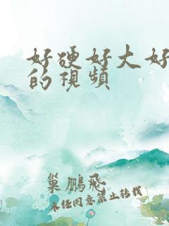 好硬好大好想要的视频