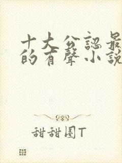 十大公认最好听的有声小说