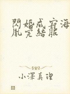 闪婚成宠海彤战胤完结版