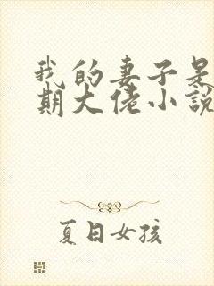 我的妻子是大乘期大佬小说完整