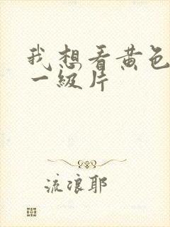 我想看黄色录像一级片