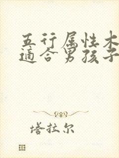 五行属性木的字适合男孩子