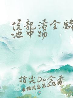 侯龙涛金麟岂是池中物