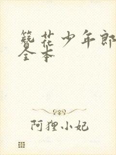 簪花少年郎阅读全本