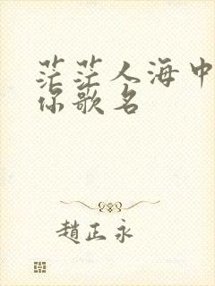 茫茫人海中遇见你歌名