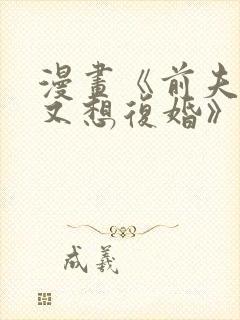 漫画《前夫又又又想复婚》