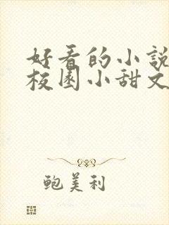 好看的小说言情校园小甜文