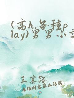 (高h,各种play)男男小说