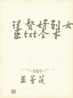 从赘婿到女帝宠臣txt全本