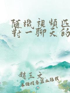 随机视频匹配一对一聊天的软件