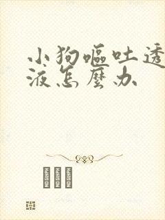 小狗呕吐透明粘液怎么办