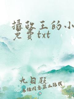 摄政王的小闲妻免费txt