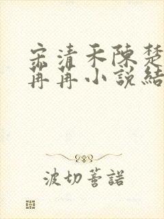 宋清禾陈楚尧顾苒苒小说结局