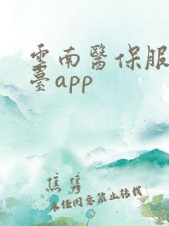 云南医保服务平台app