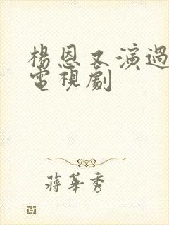 杨恩又演过哪些电视剧