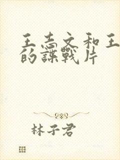 王志文和王阳演的谍战片