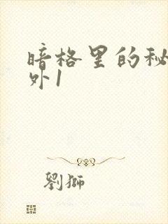 暗格里的秘密番外1