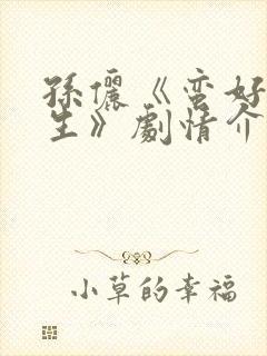 孙俪《蛮好的人生》剧情介绍