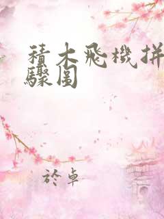 积木飞机拼装步骤图