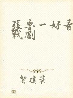 张鲁一好看的谍战剧