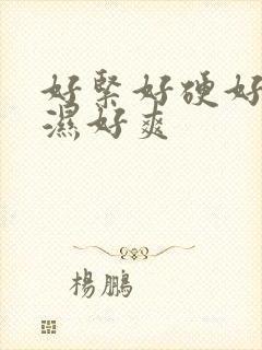 好紧好硬好大好湿好爽