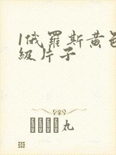 1俄罗斯黄色一级片子