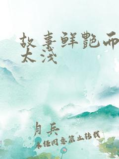 故事鲜艳而缘分太浅