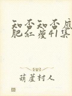 知否知否应是绿肥红瘦41集