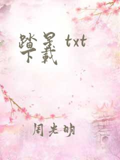 踏星 txt 下载