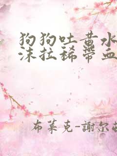 狗狗吐黄水带泡沫拉稀带血