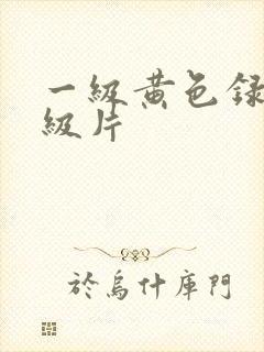 一级黄色录像一级片