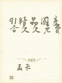 91精品国产综合久久免费