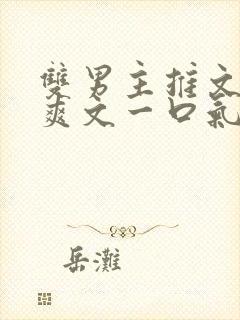 双男主推文完结爽文一口气看完