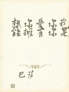 想你爱你我却不能拥有你是什么歌