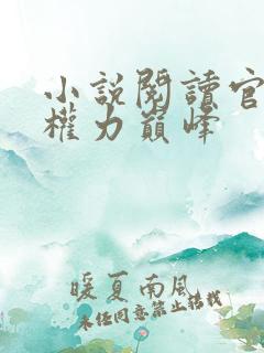 小说阅读官途:权力巅峰