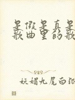 是假是真是哪首歌曲里的歌词