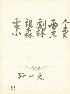 电视剧两个人的小森林免费播放