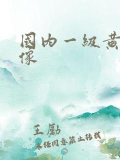 国内一级黄色录像