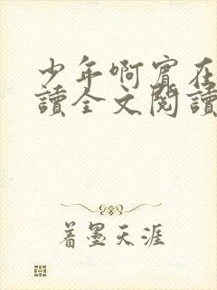 少年啊宾在线阅读全文阅读