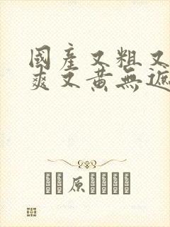 国产又粗又猛又爽又黄无遮