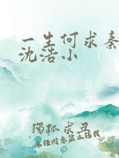 一生何求秦菲雪沈浩小