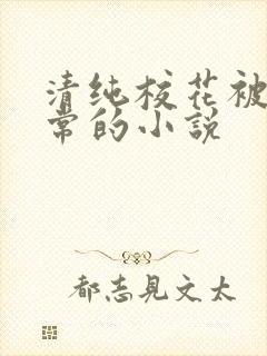 清纯校花被擒日常的小说