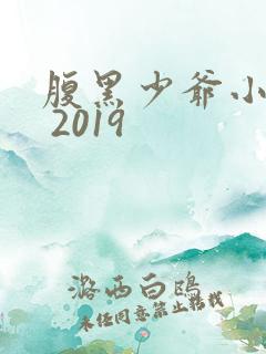 腹黑少爷小甜妻 2019