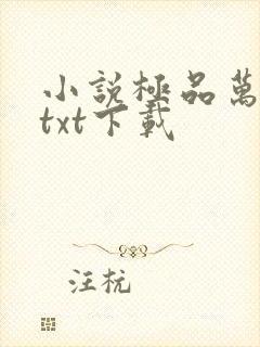 小说极品万岁爷txt下载