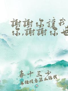 谢谢你让我遇见你,谢谢你也让我爱上你歌词