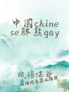 中国chinese胖熊gay