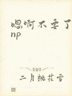 嗯啊不要了高hnp