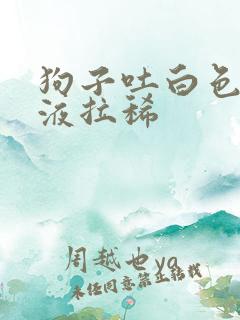 狗子吐白色的粘液拉稀